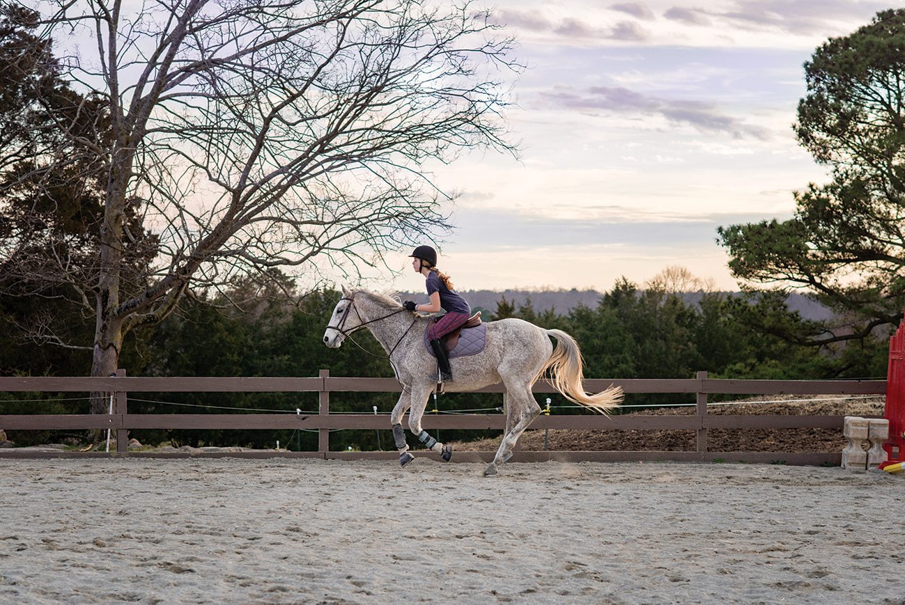 2019_0226_rollinghills_360_small
