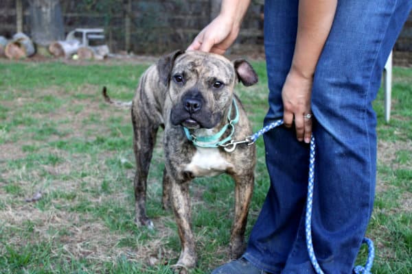 Hooch3
