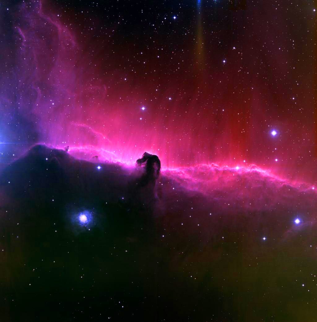Enjoy the Carolina night sky in this ever-changing show from Morehead Planetarium & Science Center/