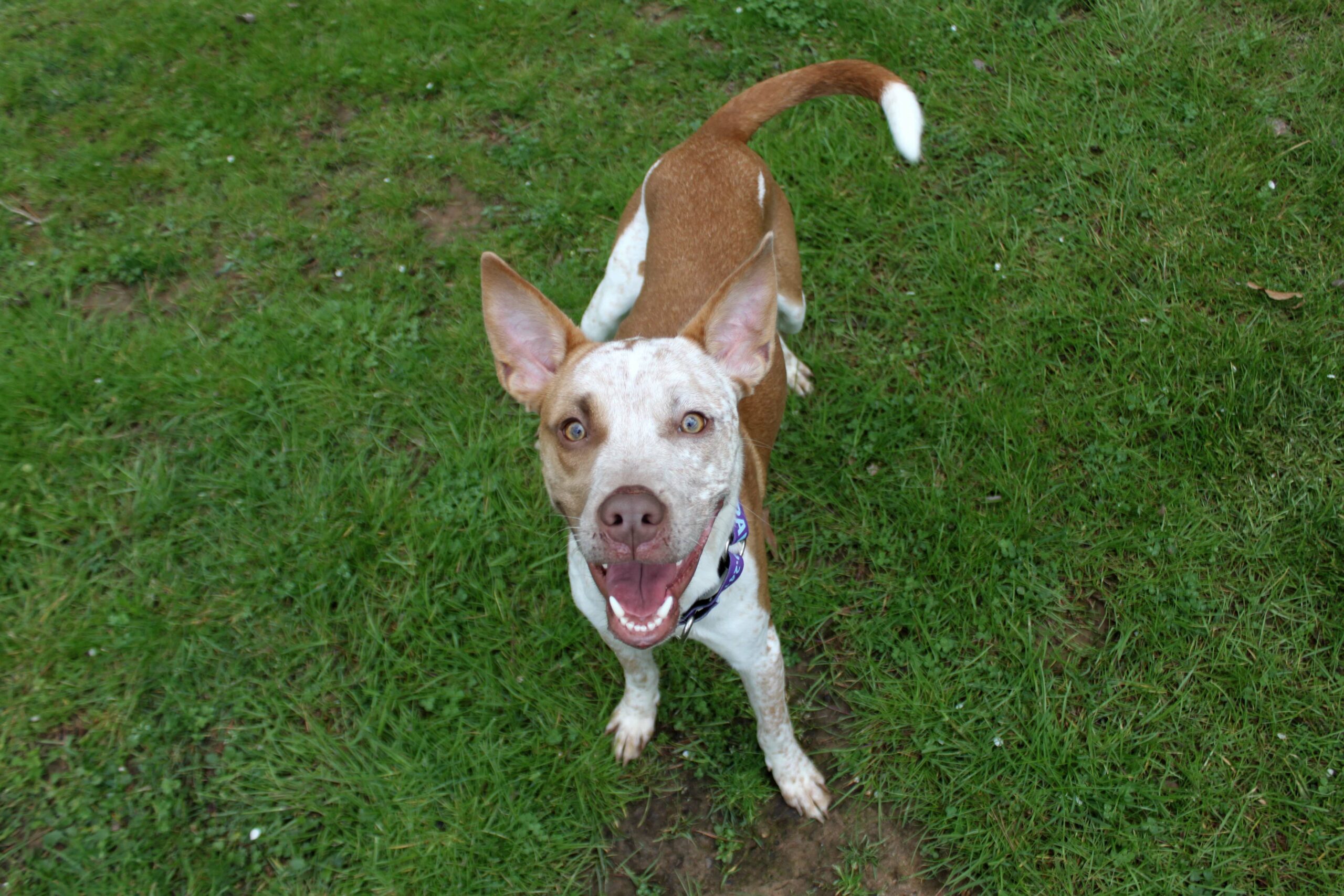 Buster