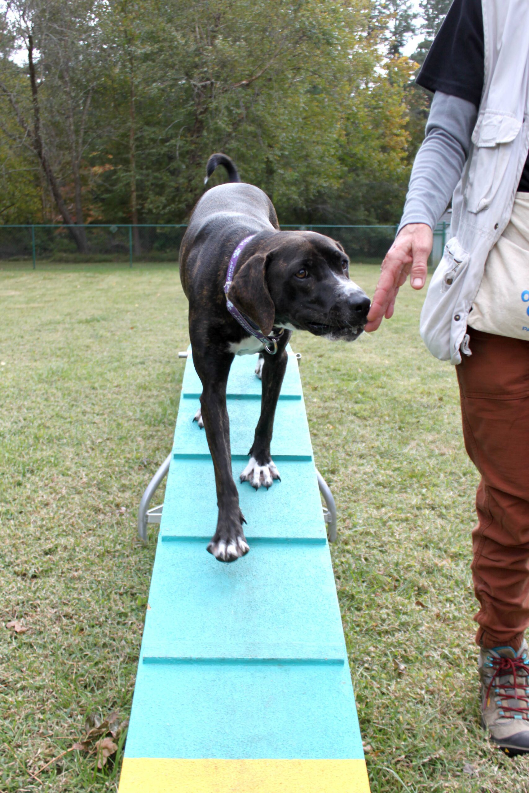 Demi-Agility-9_KS-1