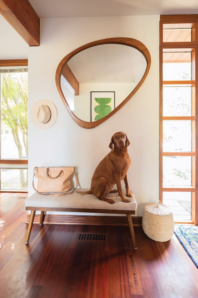 Interior designer Ana Tavares's dog, Ela the vizsla, sits atop an ottoman in her home, joining in on the action.