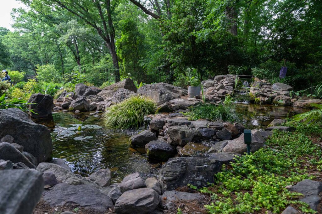 Chapel Hill Garden Tour