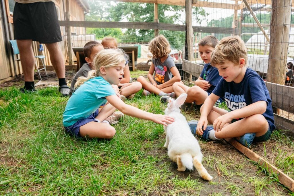 Kids visit with farm animals as part of Sunrise Community Farm Center's summer camp program.